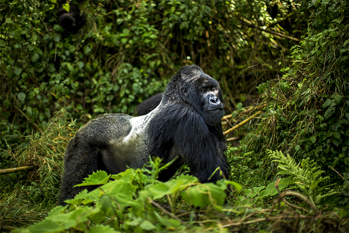 Two-day nature and wildlife adventure